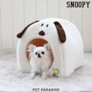 펫 파라다이스(pet paradise) 이미지