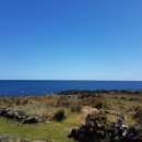 우도사랑채민박 이미지