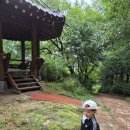 생각이 크는 도서관 | 서대문구 아기랑 갈만한 곳 추천｜28개월 아기와 안산 자락길 산책 후기(생후 28개월29일)