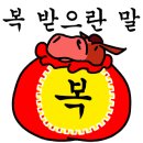 건강브이아이피
