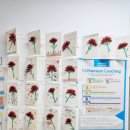 멘토잉글리시영어교습소 이미지