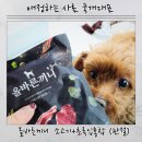 (주)좋은사료자원 | 기호성좋은 강아지사료 추천 국개대표 올바른끼니플러스 관절에좋은강아지사료 솔직후기