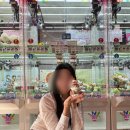 [오사카6일차] 유니버셜 시티에서 마지막 식사 &#34;스시로(Sushiro)&#34; 회전초밥 후기
