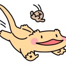 천안기구수족관