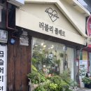 러블리플레르 이미지