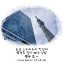 시스카이 카라빌 | 도쿄 스카이트리 전망대 입장권 할인 예약 방법 방문 후기