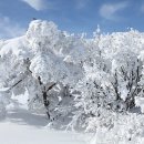 오서방 이미지