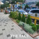 광영초교 이미지