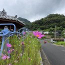 삼기저수지-1(주차장) 이미지