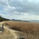 해찬솔길 투어코리아