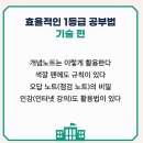 성적이 오르는 1등급 공부(기술편) 이미지