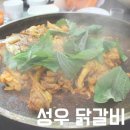 썬블리 네이버블로그