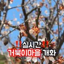 개화마을회관 이미지