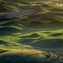 에이플하우스 이미지