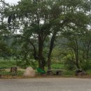 동원식당 맞은편 이미지