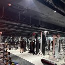 리본휘트니스 | 피트니스리본 – 용원헬스장 찾는다면 여기! 24시 하이엔드 헬스장