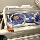 부천준동물병원 | 부천 초앤유 여성병원 제왕절개 1~5일차 다인실 병실 입원 (+준비물) 출산 후기