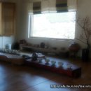 섬진다원 이미지