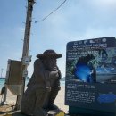 월정리 경로당 | 제주도 3박 4일 2일차 일정공유_월정리해수욕장, 별방진, 해녀의부엌, 오조포구, 선녀탕, 수눌음