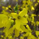 천내2리경로당 이미지