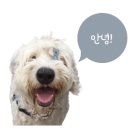 한섬현대 이미지