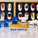 용인대덕양유도관 이미지
