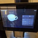 신트라(SINTRA) 호텔 | 포르투갈 신트라 여행 후기 : Arribas 호텔 추천(조식 맛집, 오션뷰, 100m 수영장 운영정보)