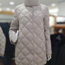 앤디스클라인