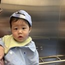 8개월 아기와 제주도 여행 : 한식 맛집 한라원 &amp; 신화월드 테마파크 놀이기구 및 유모차 후기
