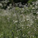 두량저수지 이미지