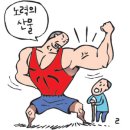 일상생활과 운동의 종류 칼로리 소비(남/여) 이미지