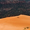 Coral Pink Sand Dunes 주립공원 [7.4] 이미지