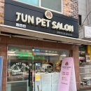 준펫살롱 이미지