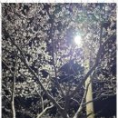 천마태권도장 이미지