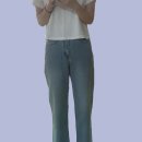 아베크진