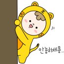 태한 태권도장 이미지