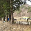 갑천초 금성분교장 | 강원도 폐교(廢校) 현황 - 율전초교 문암분교(폐교)
