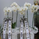 대양물류 이미지