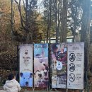 평강목장 | 마이애니멀스토리 in 평강랜드 솔직후기