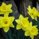 하이디 하우스 이미지