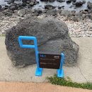 무릉중학교 | [토박깜주의 제주 올레길] 올레길 10-1코스 완주_10😎🚶🏾‍♀️✌🏾