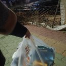 청년피자문경점 이미지