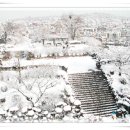 인하대학교사범대학부속고등학교 이미지