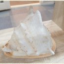 판교인생 이미지