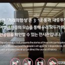 겨레하나여행 이미지