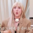 바다요정 이미지