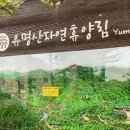 유명산 공중화장실 이미지