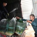 광시농장 이미지