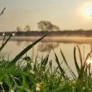 아침풍경 이미지