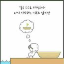 용인대미르태권도 이미지